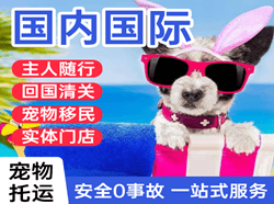 天府机场邮寄国际宠物托运 【国